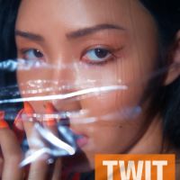 화사(Hwa Sa) - 멍청이(twit) 앨범이미지